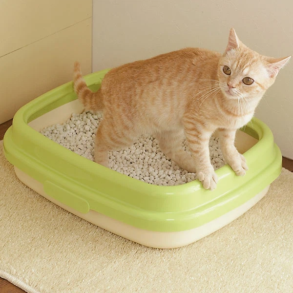 Vacuum-Packed Cat Litter Vacuum-Packed Cat Litter