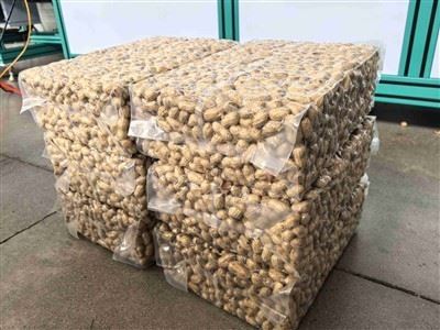 Nuts Large Package Vacuum Packing Machine